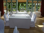 Wedding Chairs With White Organza Sashes